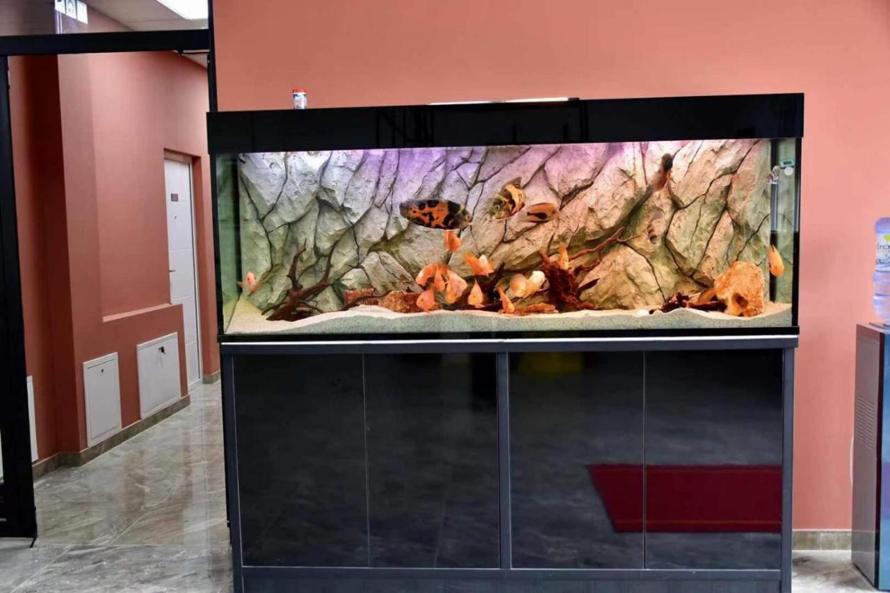 Asuka Apartmani 飞鸟客 Surcin Luaran gambar